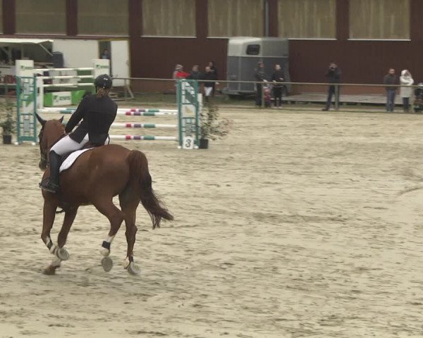 Reitturnier Herxheim 2020