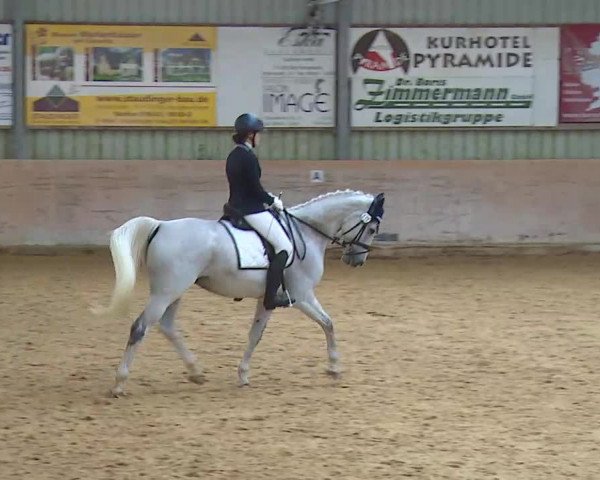 Reitturnier Bad Windsheim/Mfr. 2020