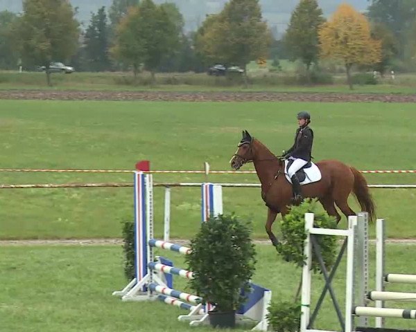 Reitturnier Bad Windsheim/Mfr. 2020