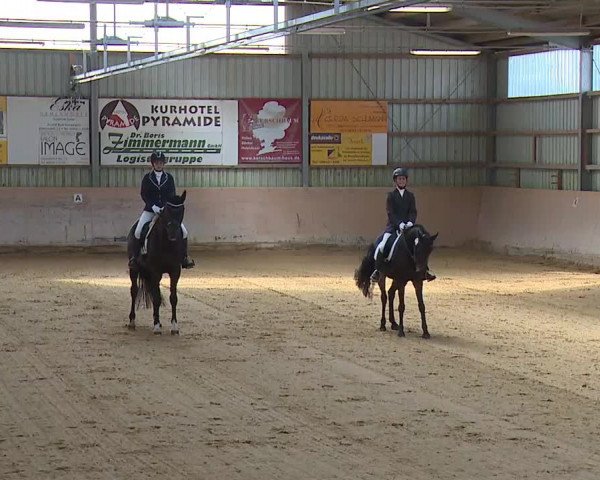 Reitturnier Bad Windsheim/Mfr. 2020