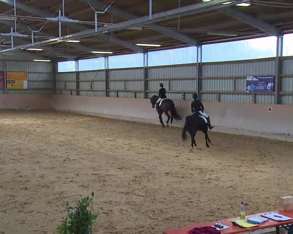 Reitturnier Bad Windsheim/Mfr. 2020