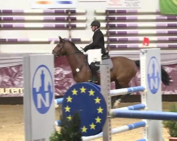 jumper Wepilotte (KWPN (Royal Dutch Sporthorse), 2003, from Epilot)