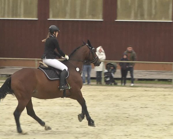 Reitturnier Herxheim 2020