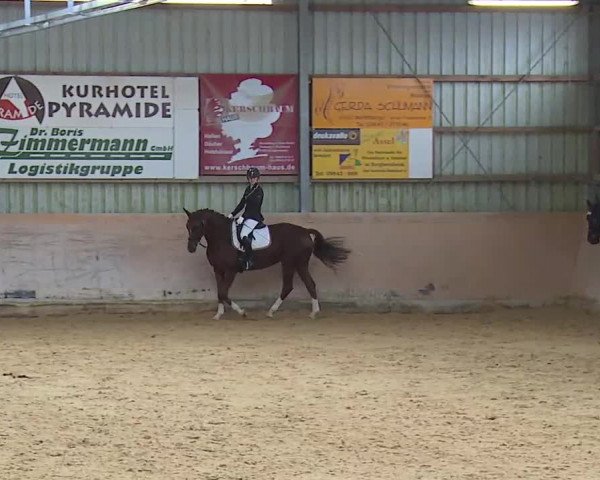 Reitturnier Bad Windsheim/Mfr. 2020