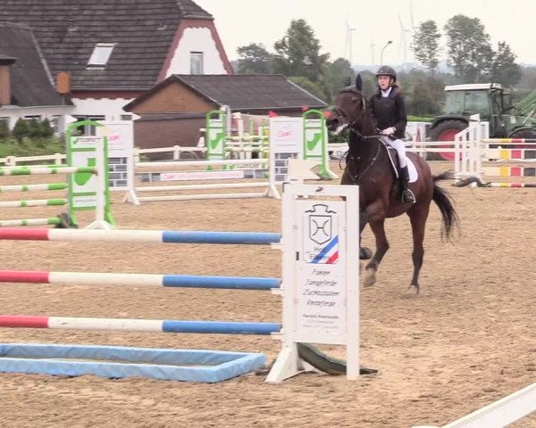 Reitturnier Behrendorf 2020