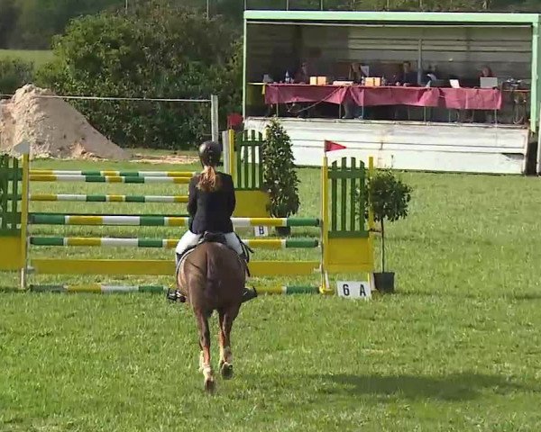 Reitturnier Bad Windsheim/Mfr. 2020