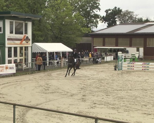 Reitturnier Herxheim 2020