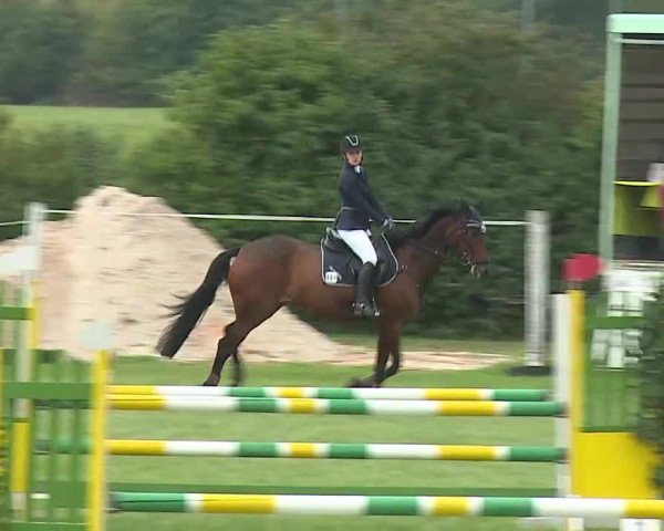 Reitturnier Bad Windsheim/Mfr. 2020