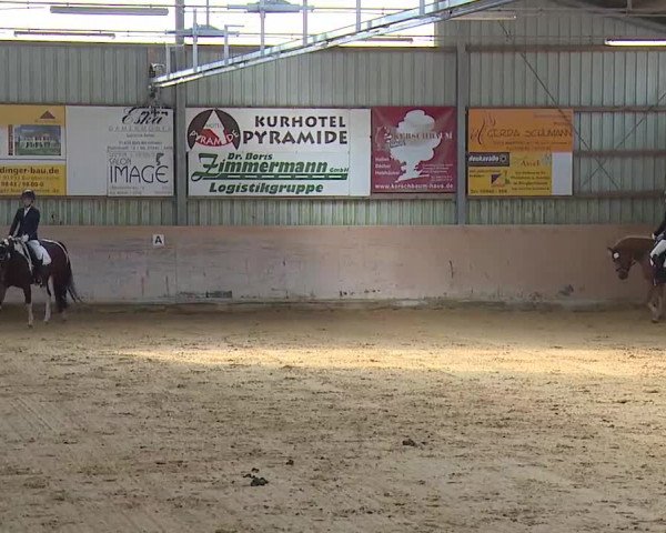 Reitturnier Bad Windsheim/Mfr. 2020