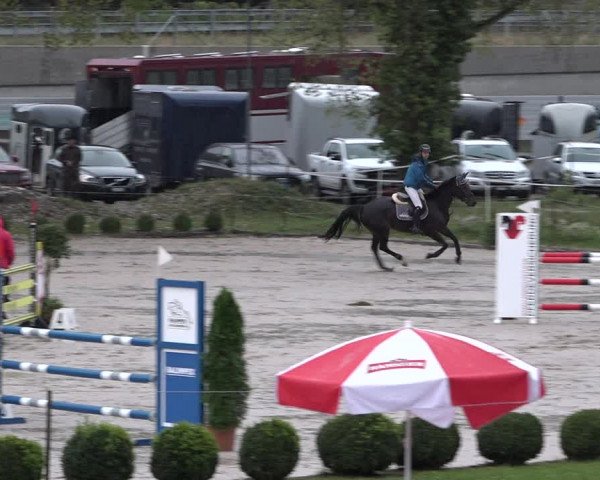 Reitturnier Basel Schänzli 2020