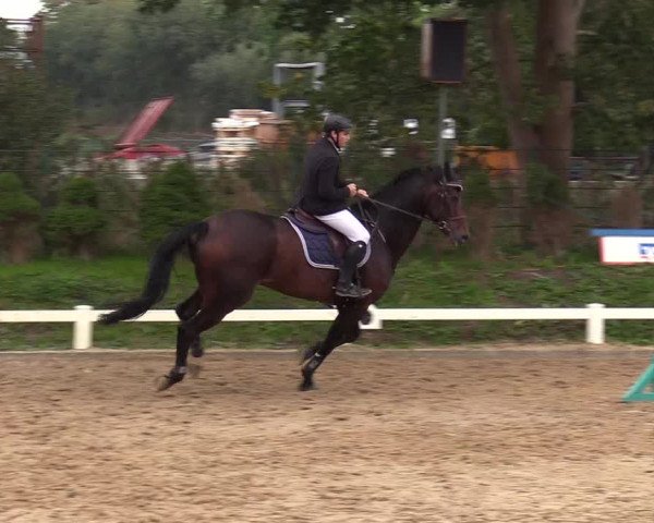 Reitturnier Behrendorf 2020