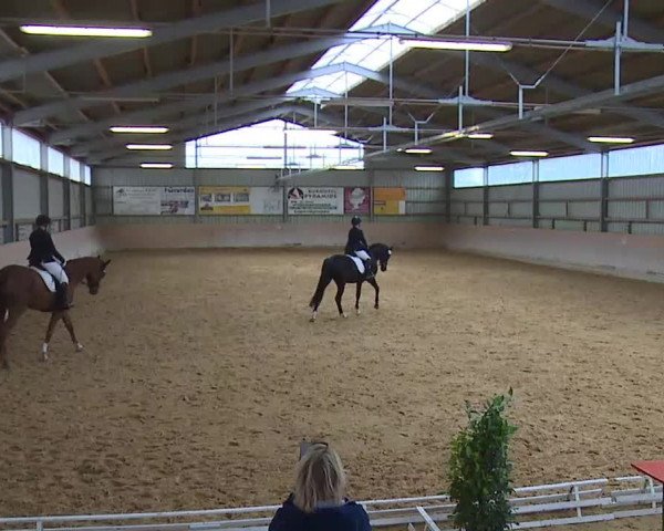 Reitturnier Bad Windsheim/Mfr. 2020