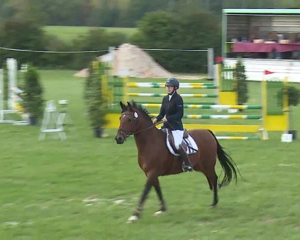 Reitturnier Bad Windsheim/Mfr. 2020