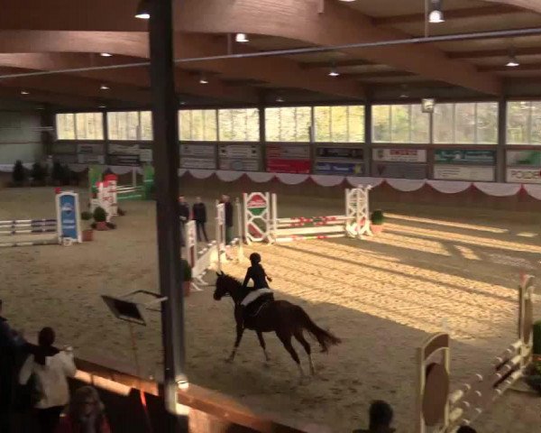 jumper Mona Lisa 409 (German Riding Pony, 2003, from Martini)