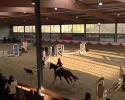 jumper Mona Lisa 409 (German Riding Pony, 2003, from Martini)