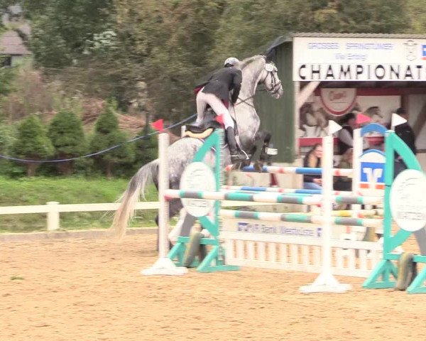 Reitturnier Behrendorf 2020