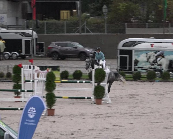 Reitturnier Basel Schänzli 2020