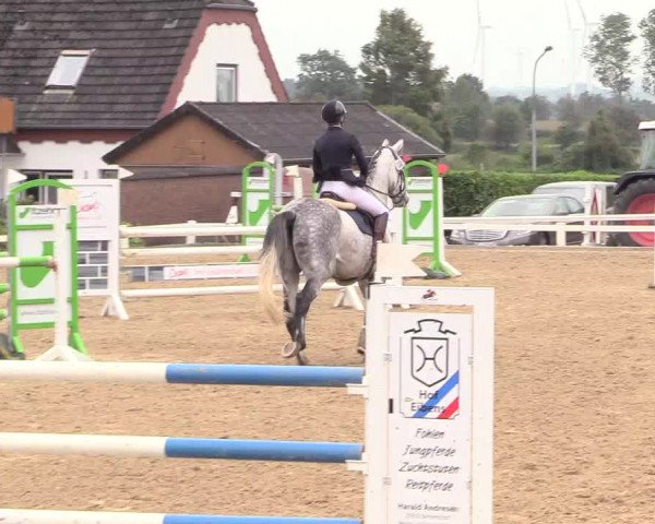 Reitturnier Behrendorf 2020