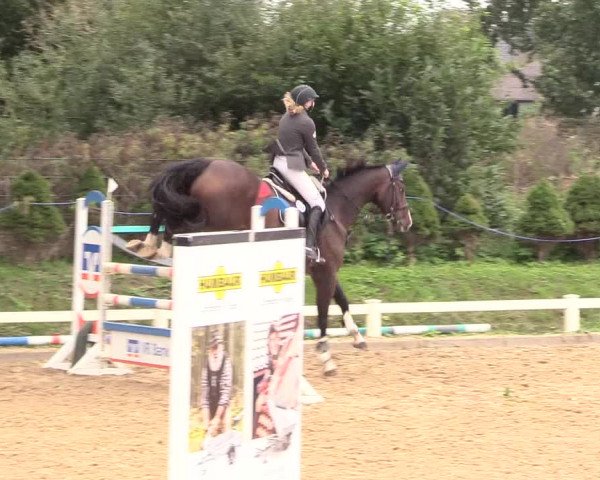 Reitturnier Behrendorf 2020