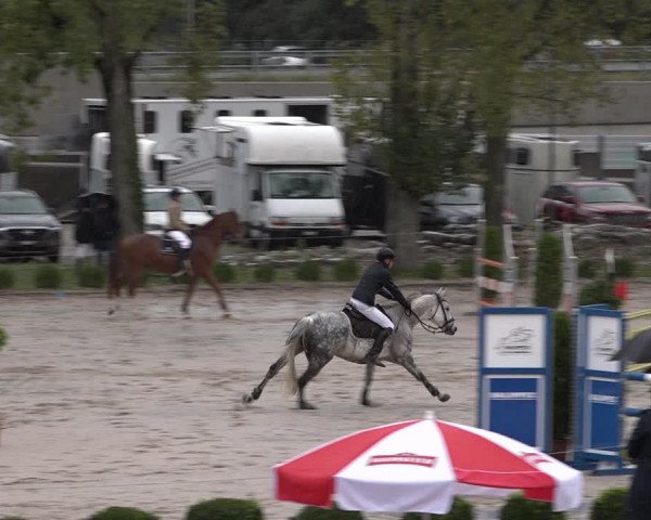 Reitturnier Basel Schänzli 2020