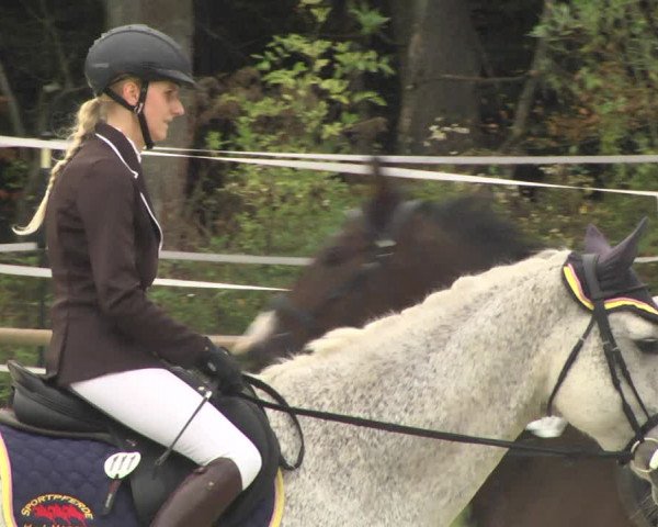Reitturnier Herxheim 2020