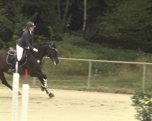 Reitturnier Herxheim 2020