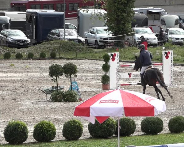 Reitturnier Basel Schänzli 2020