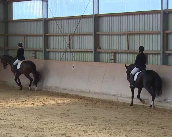 Reitturnier Bad Windsheim/Mfr. 2020