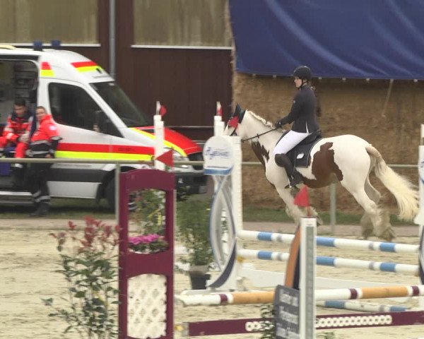 Reitturnier Herxheim 2020