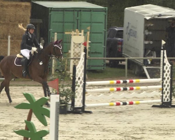 Reitturnier Herxheim 2020