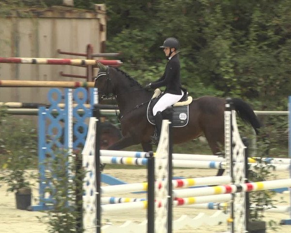 Reitturnier Herxheim 2020
