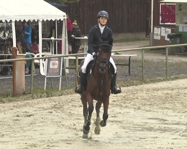 Reitturnier Herxheim 2020