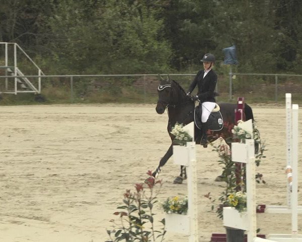 Reitturnier Herxheim 2020