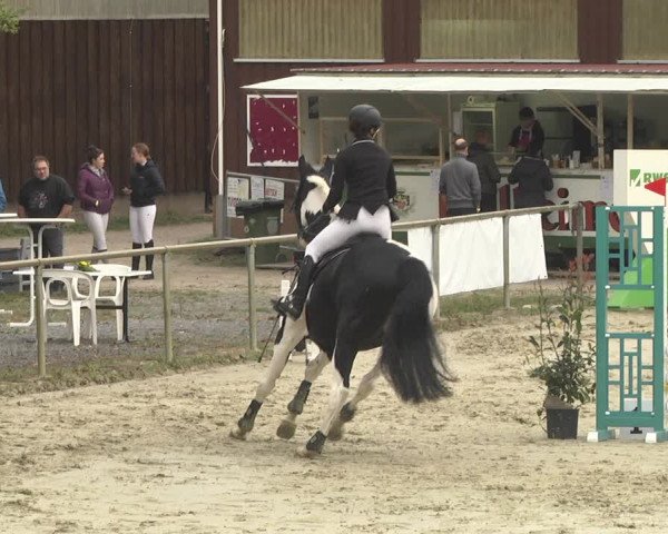Reitturnier Herxheim 2020