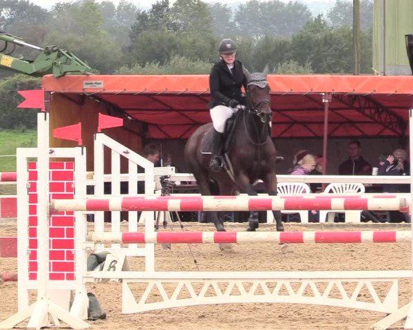 Reitturnier Behrendorf 2020