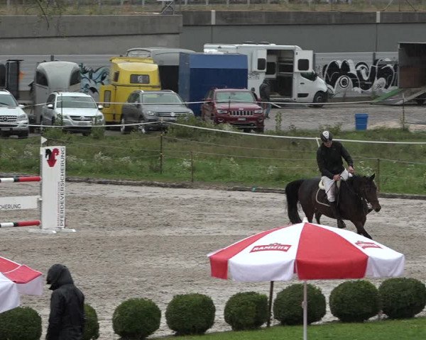 Reitturnier Basel Schänzli 2020