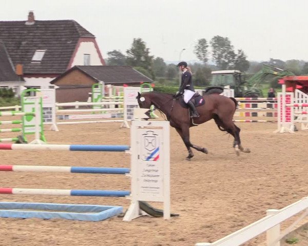 Reitturnier Behrendorf 2020