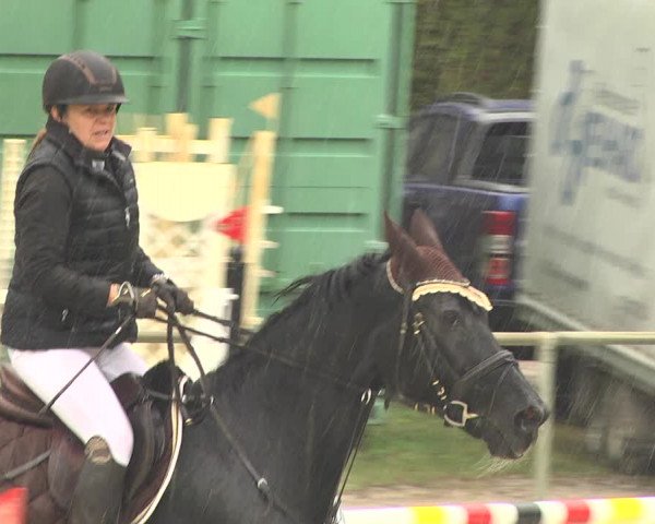Reitturnier Herxheim 2020