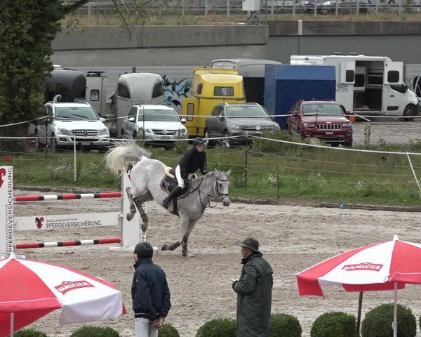 Reitturnier Basel Schänzli 2020
