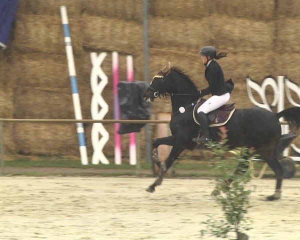 Reitturnier Herxheim 2020