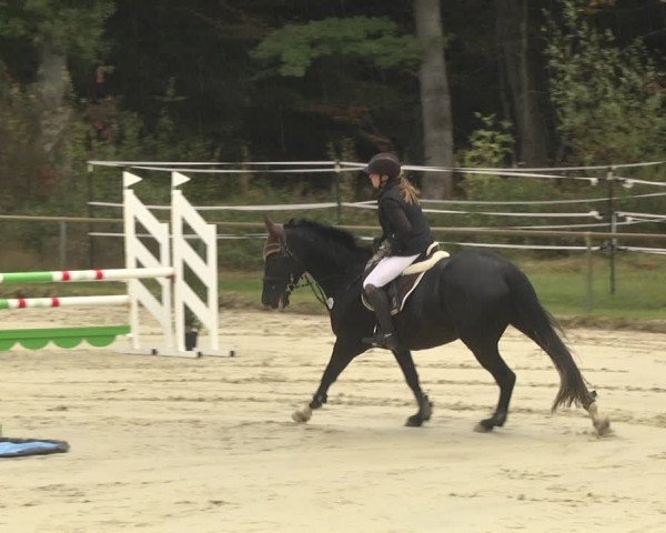 Reitturnier Herxheim 2020