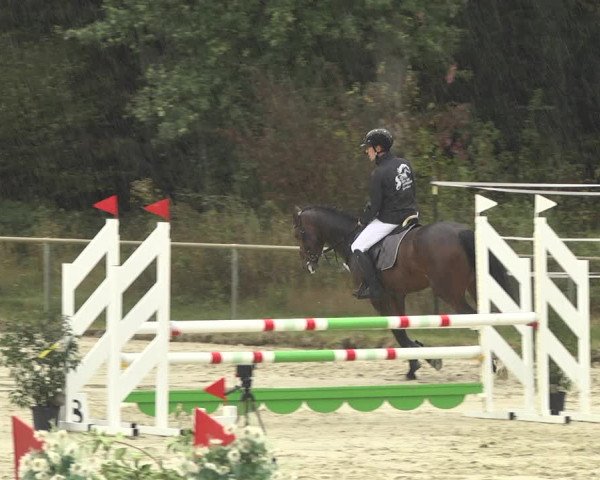 Reitturnier Herxheim 2020