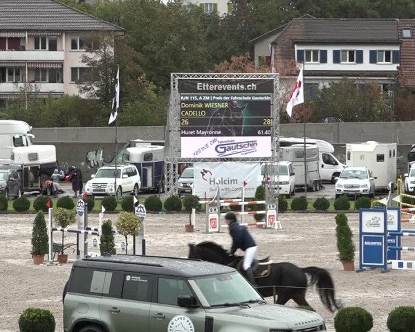 Reitturnier Basel Schänzli 2020