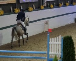 broodmare Agoria T (Rhinelander, 2010, from Acorado's Ass)