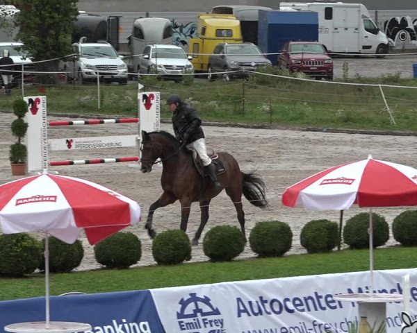 Reitturnier Basel Schänzli 2020