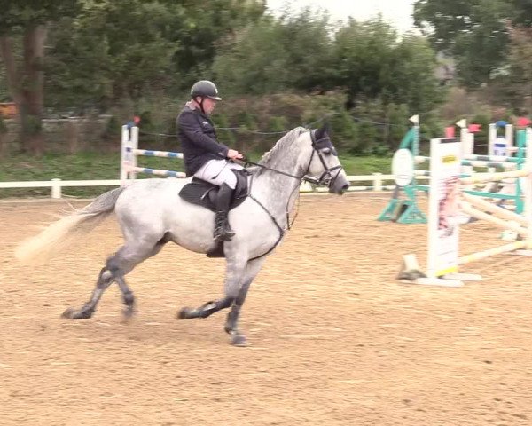 Reitturnier Behrendorf 2020