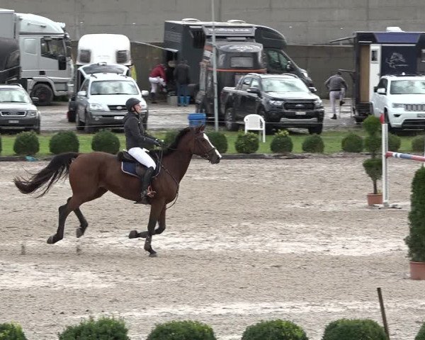 Reitturnier Basel Schänzli 2020