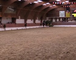 horse Balotelli W (Rhinelander, 2010, from Belissimo NRW)