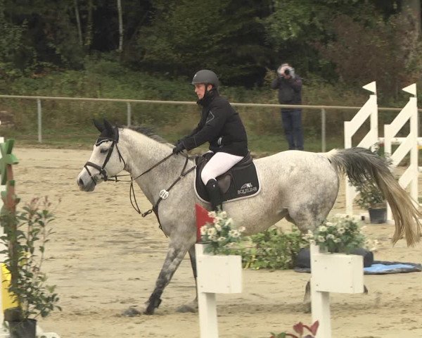 Reitturnier Herxheim 2020
