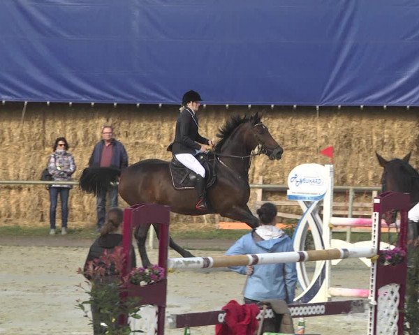 Reitturnier Herxheim 2020